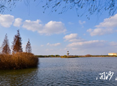 开沙岛旅游度假区