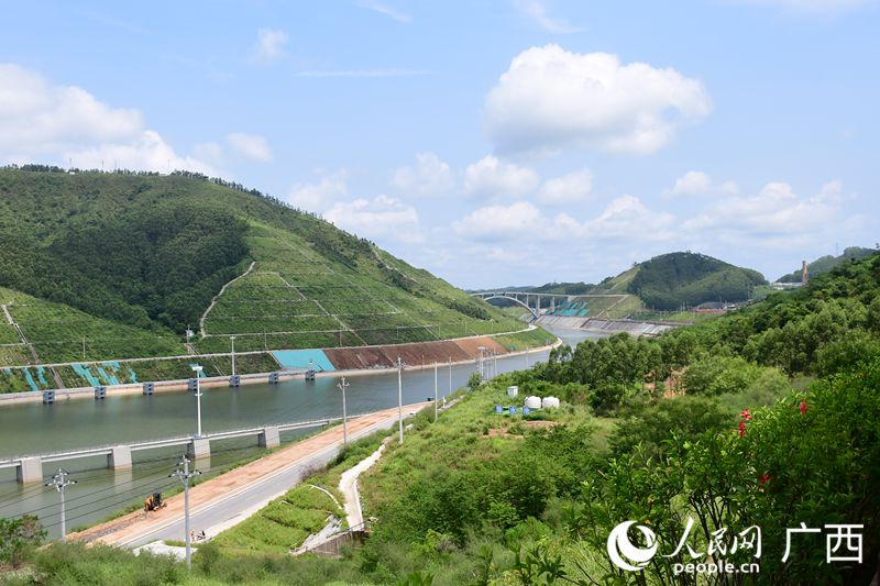 平陆运河两岸绿意葱茏。人民网 庞惠文摄