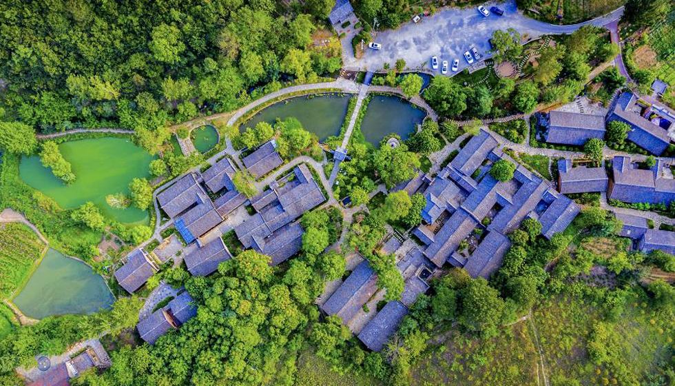 加快建设武汉都市圈副imToken中心城市 奋力打造支点建