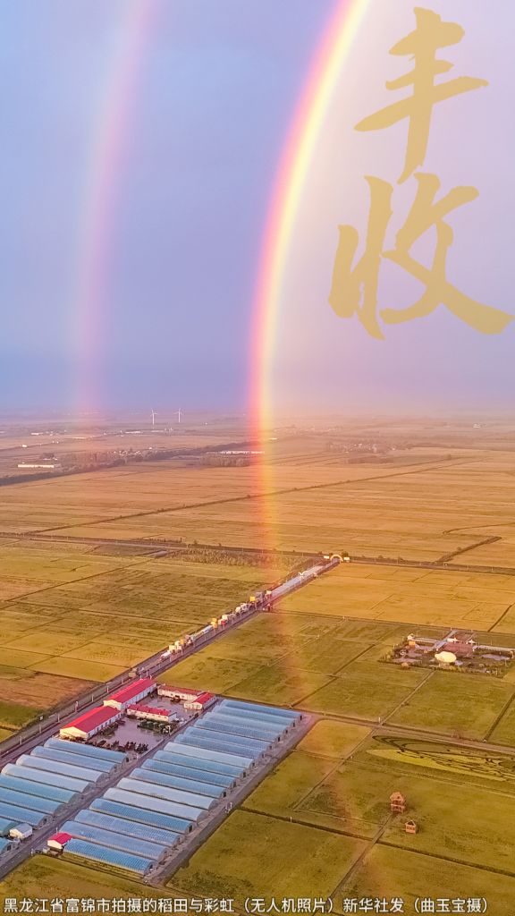 建议收藏,丰收的中im官网国,每一帧都是壁纸