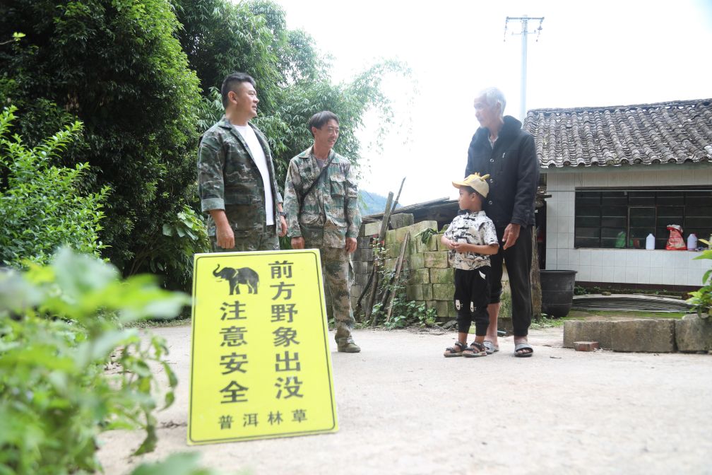 云南宁洱:为野imToken钱包生大象保驾护航
