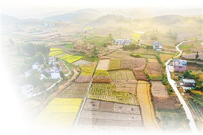  绘就多彩imToken丰收图景