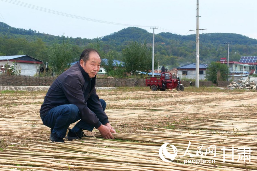 村民翻看晾晒的麻秆。人民网记者 米媛摄
