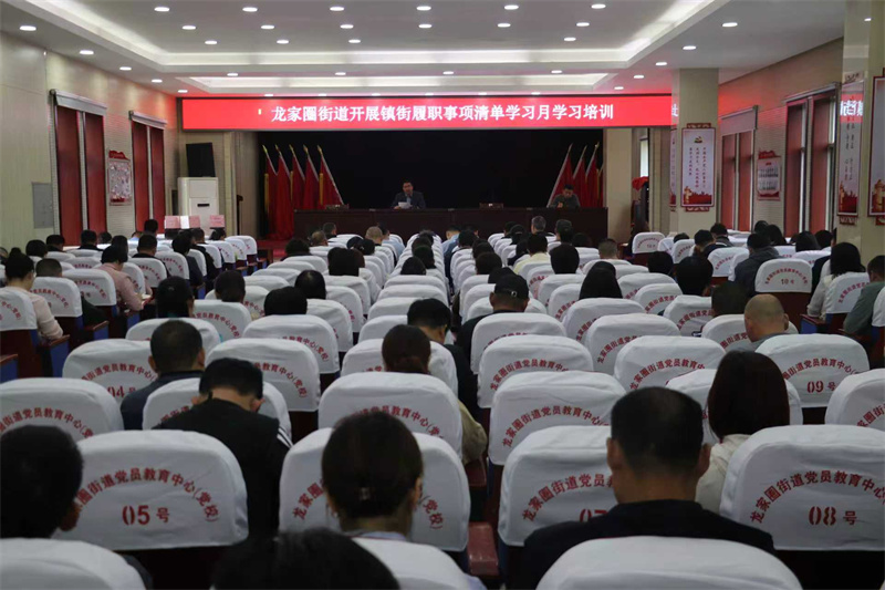 乡镇(街道)开展镇街履职事项清单学习月学习培训