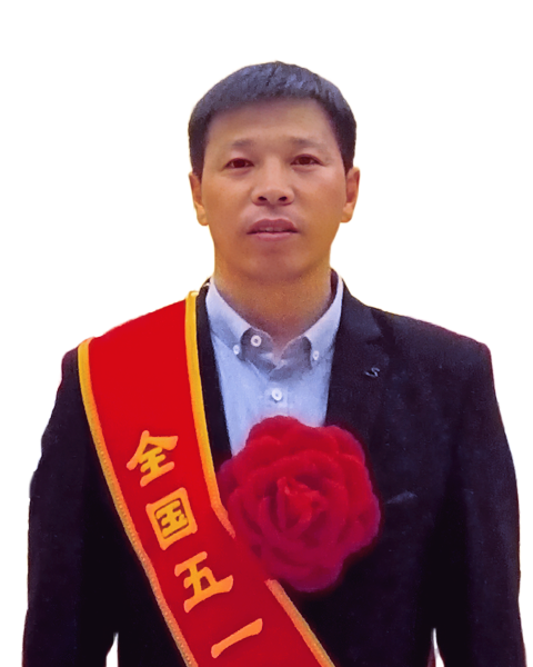 网上的人imToken下载民日报