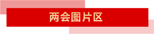 2026山东im下载两会