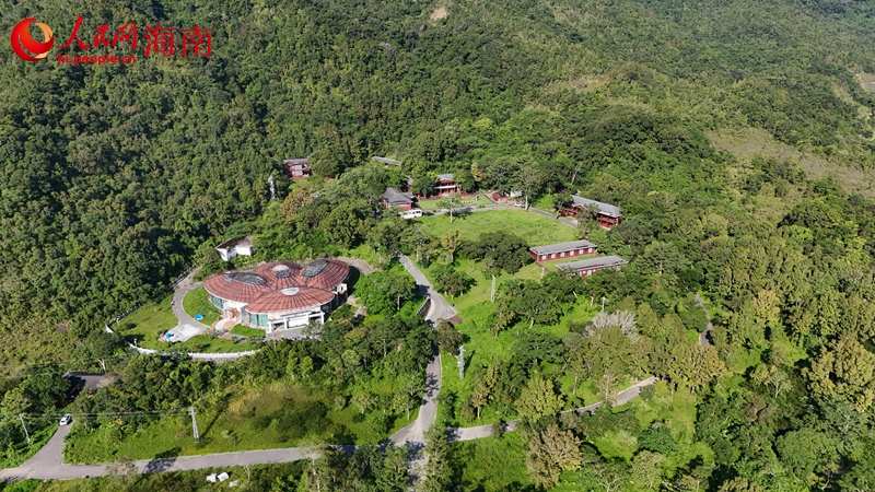 航拍海南热带雨林国家公园鹦哥嘴自然生态体验区。 人民网记者 孟凡盛摄