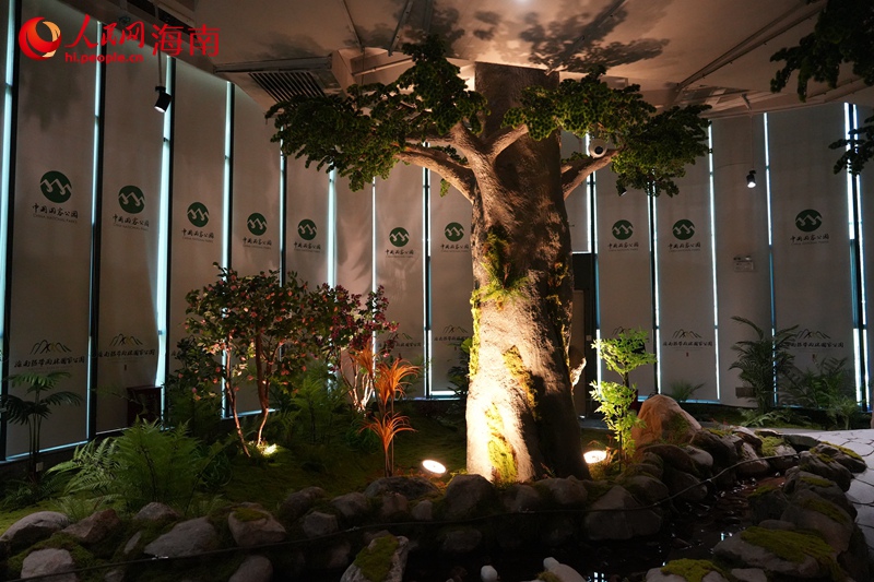 鹦哥岭动植物博物馆。人民网记者 孟凡盛摄