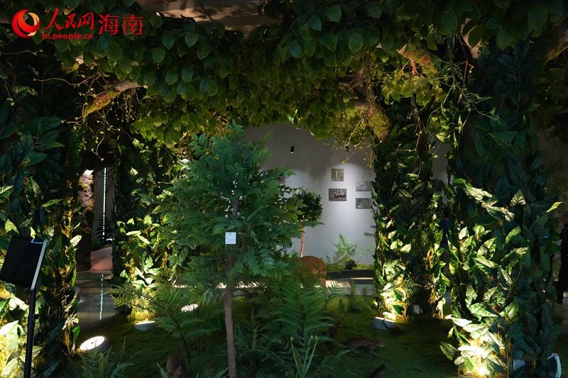 鹦哥岭动植物博物馆 。人民网记者 孟凡盛摄