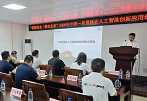 2026年中国—东盟林业人工智能创新应用大赛专题培训交流会现场。