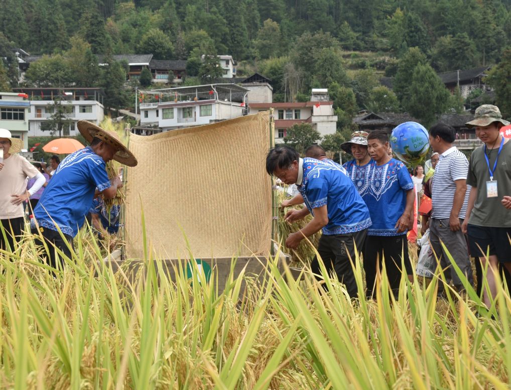 贵州石阡：田间im钱包下载趣味活动庆丰收
