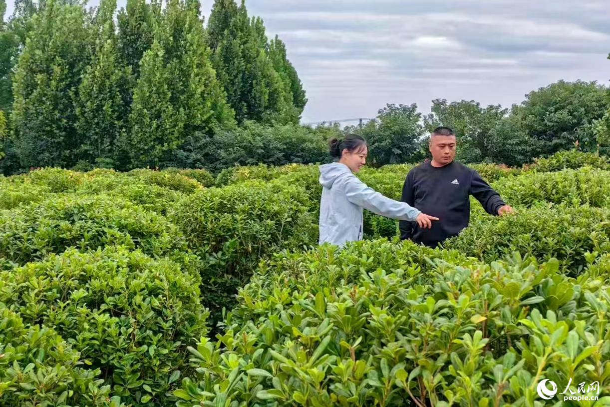 农行金融服务进苗圃。人民网记者 程明辉摄