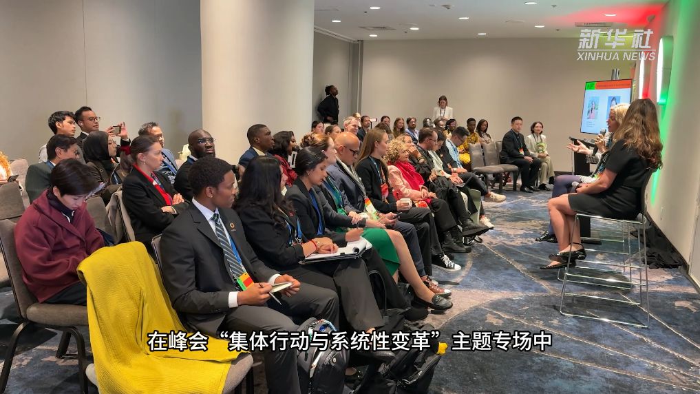 从杭州到纽约 国家电网im下载AI减碳方案登上联合国舞台