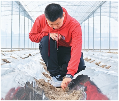把青春华章imToken钱包下载写在田间地头