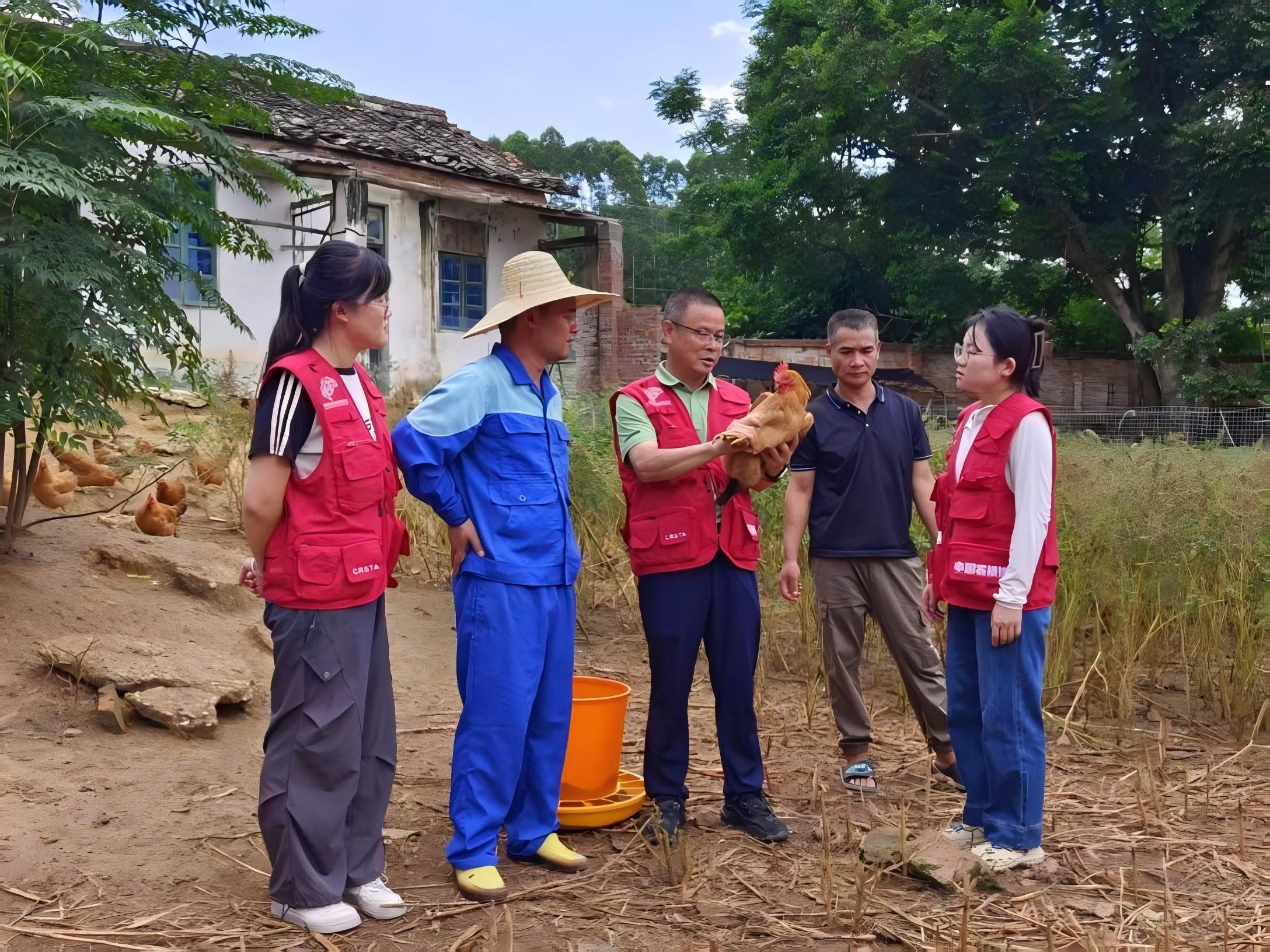 广西灵山香鸡科技小院首席专家沈水宝(中)在进行生产指导。自治区科协供图