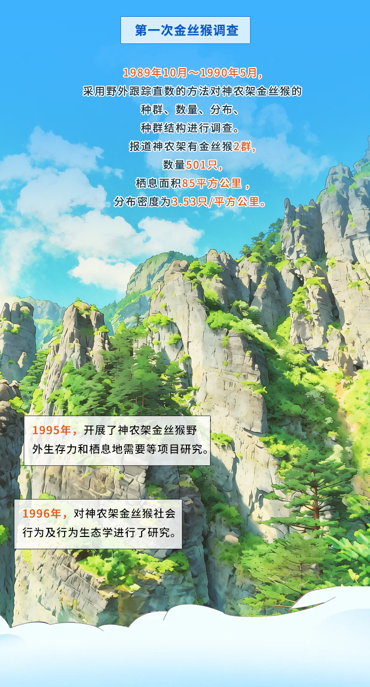 图说神农架金丝im钱包官网猴“家底”新变化
