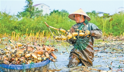 假日保供的温暖im钱包官网底色(新时代画卷)