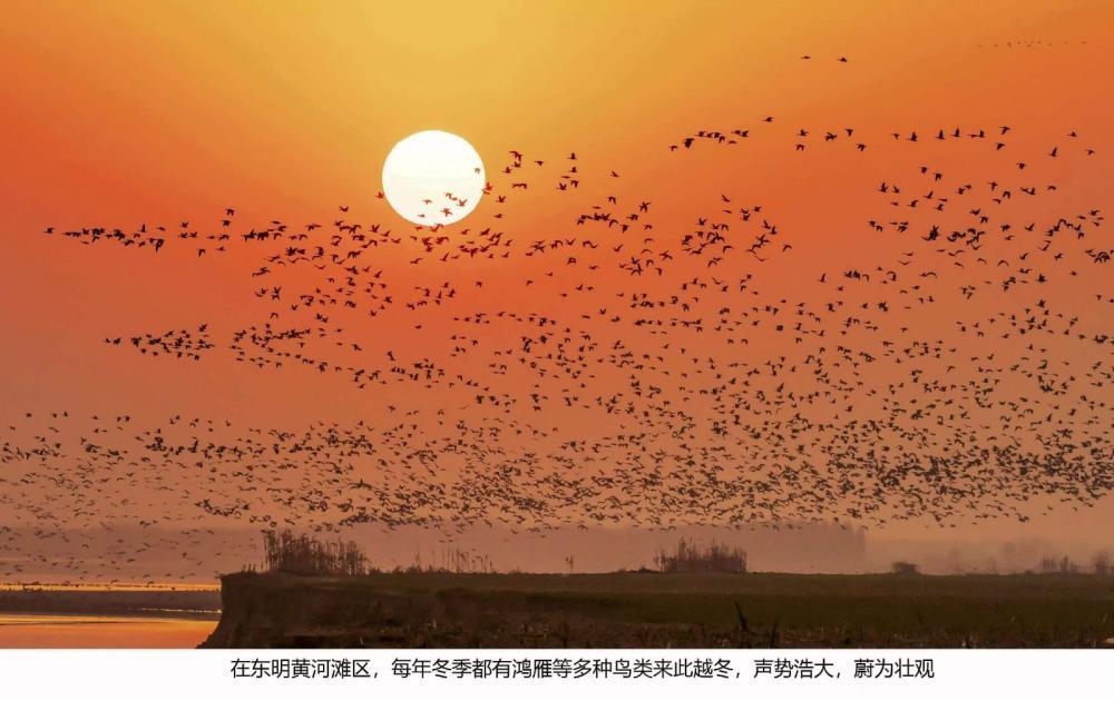 透过它们的眼睛,看imToken钱包见一个更有温度的山东