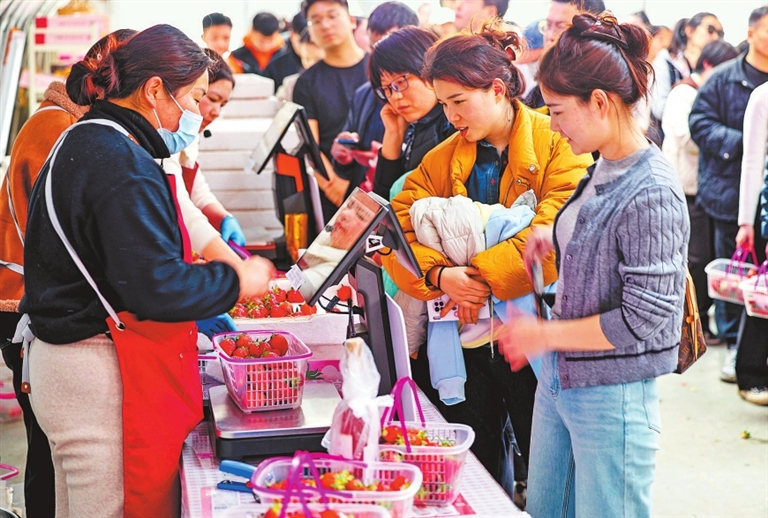 河南“精品果篮imToken”是怎样炼成的?