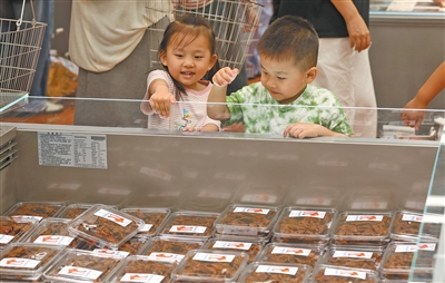 假日保供的温暖底im下载色(新时代画卷)