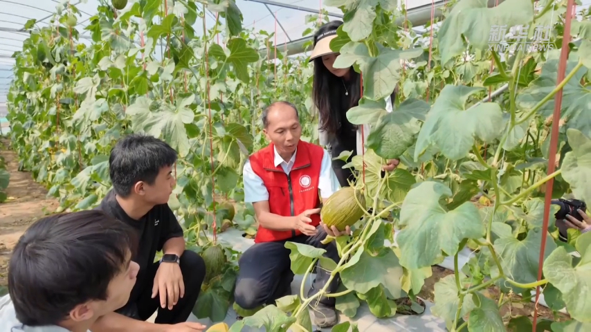 平陆运河边im下载有个菜园子