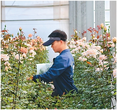 把青春华章imToken钱包写在田间地头