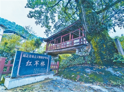 红军桥见证红色传承(赓续长imToken钱包下载征精神 奋进复兴征程·记者再走长征路)