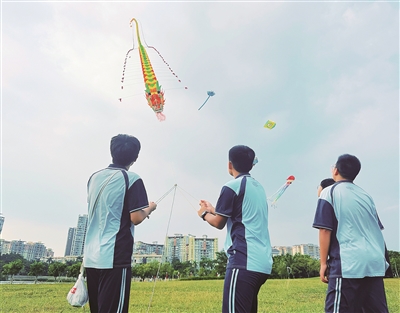 纸鸢飞舞im钱包迎重阳