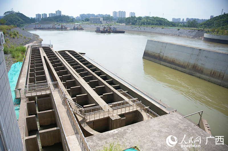 青年枢纽建设的鱼道为当地洄游鱼类提供了一条生命通道。人民网记者 严立政摄