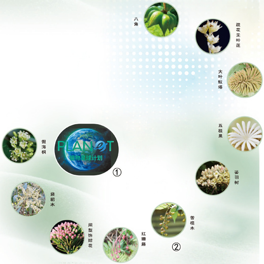 为“植物生命之树”imToken下载绘制全景图(院士讲科普)