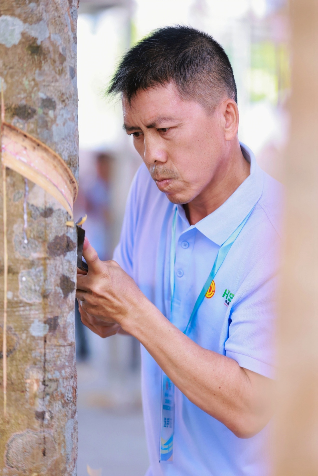 海南省橡胶割胶工技能大赛im钱包官网在琼中举行 71名割胶能手同台竞技