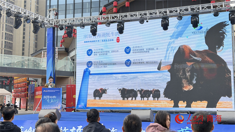 活动现场。人民网 顾斐菲摄