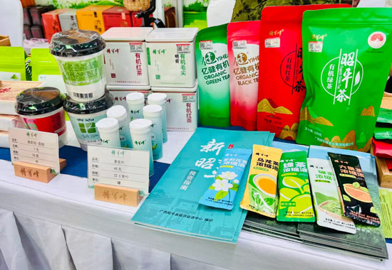 昭平茶从传统散茶到如今的多样化发展,衍生了不少新产品。文馨摄
