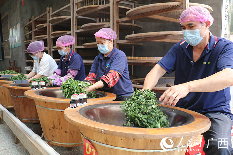 茶厂工人正在炒茶。人民网 刘璐瑶摄