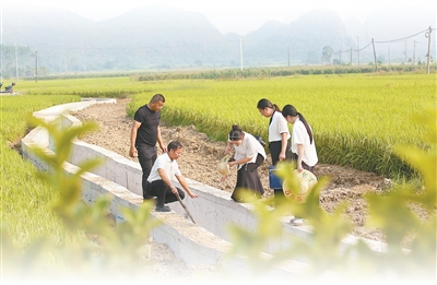 风清气正暖民im钱包心(前沿观察)