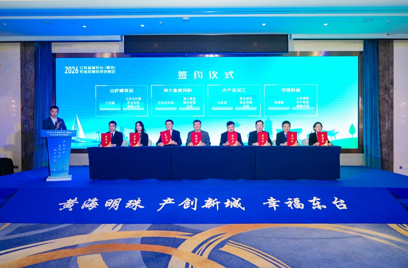活动现场。东台市委宣传部供图