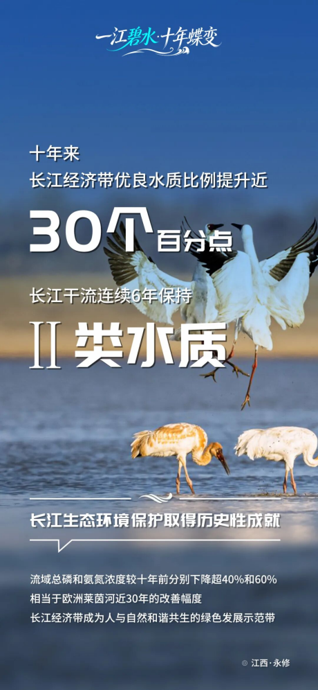 硬核数据，看一im下载江碧水十年蝶变