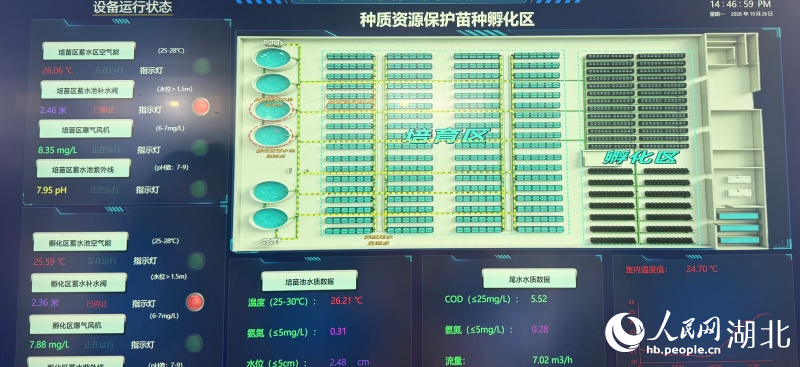 苗种孵化区的数据监控大屏。人民网记者 张隽摄